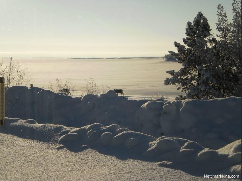 Land in Inari, Lapland, Finland 2 - 15269039