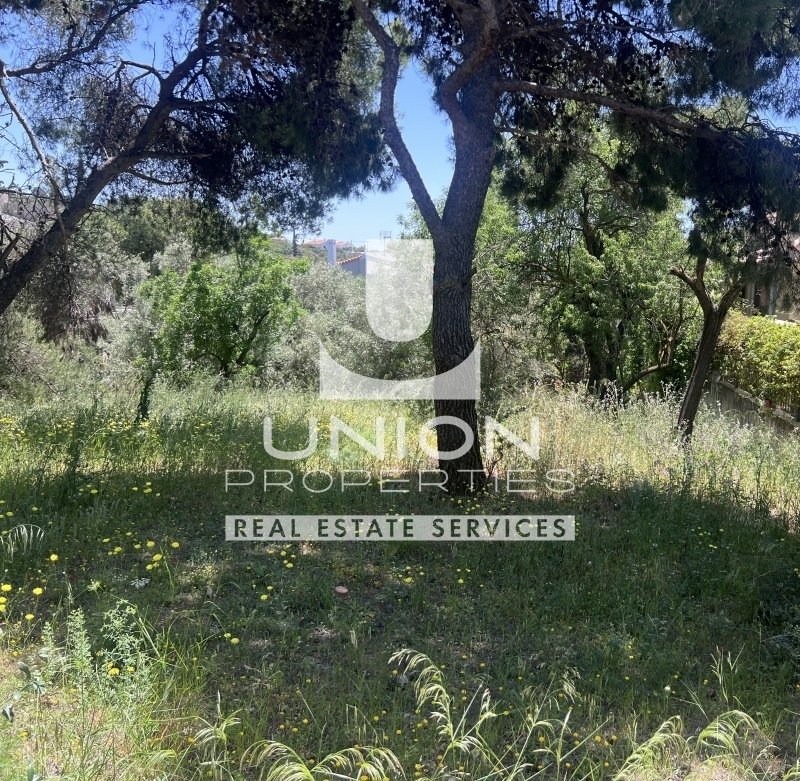 Land in Penteli, Attica, Greece 2 - 15600791