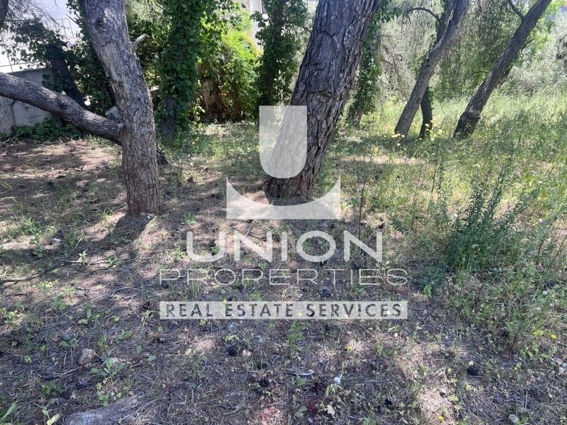 Land in Penteli, Attica, Greece 4 - 15600791