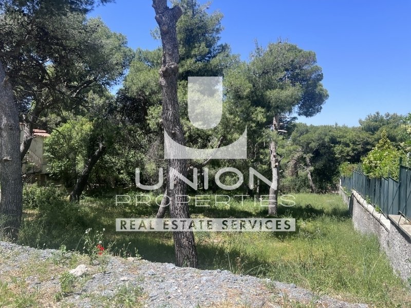 Land in Penteli, Attica, Greece 5 - 15600799