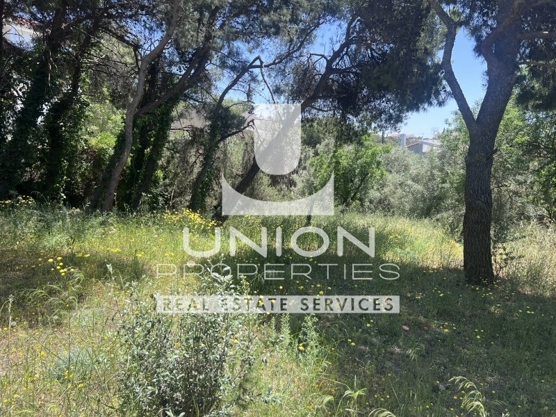 Land in Penteli, Attica, Greece 1 - 15600791
