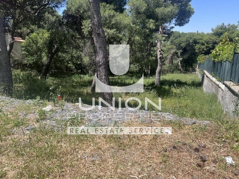 Land in Penteli, Attica, Greece 4 - 15600799