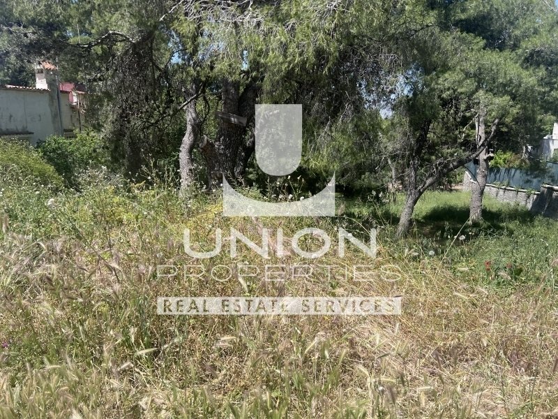 Land in Penteli, Attica, Greece 2 - 15600799