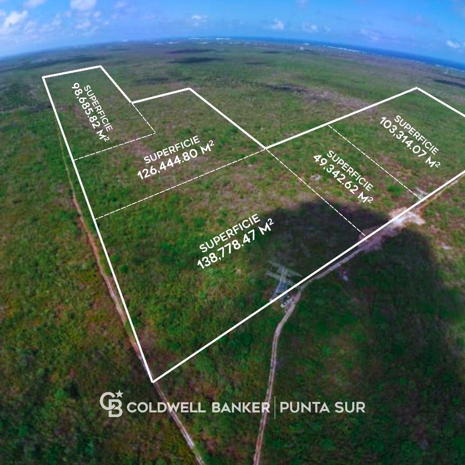 Land in Puerto Morelos, Quintana Roo, Mexico 2 - 14356858