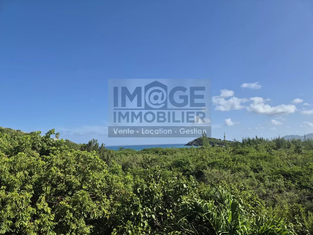 Land in Les Terres Basses, Collectivity of Saint Martin, Saint Martin 2 - 15602898