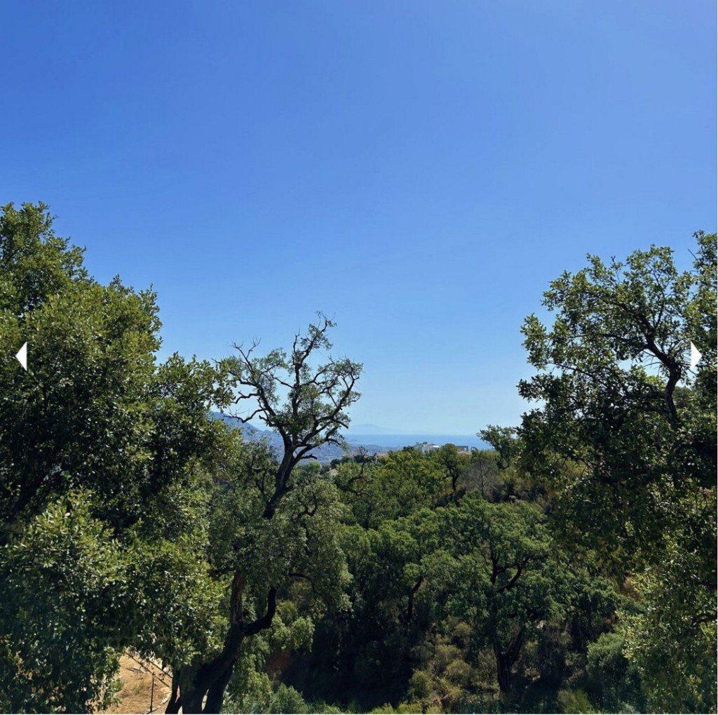 Land in Ojen, Andalusia, Spain 2 - 15603062