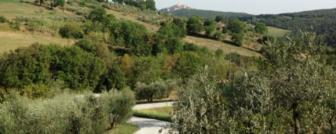 Villa in Amelia, Umbria, Italy 2 - 15601778