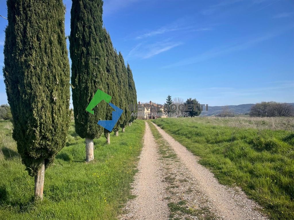 Country House in Asciano, Tuscany, Italy 5 - 15575787