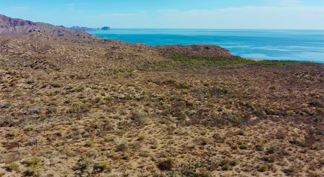San Juanico, Baja California Sur, Mexico 3 - 15601678