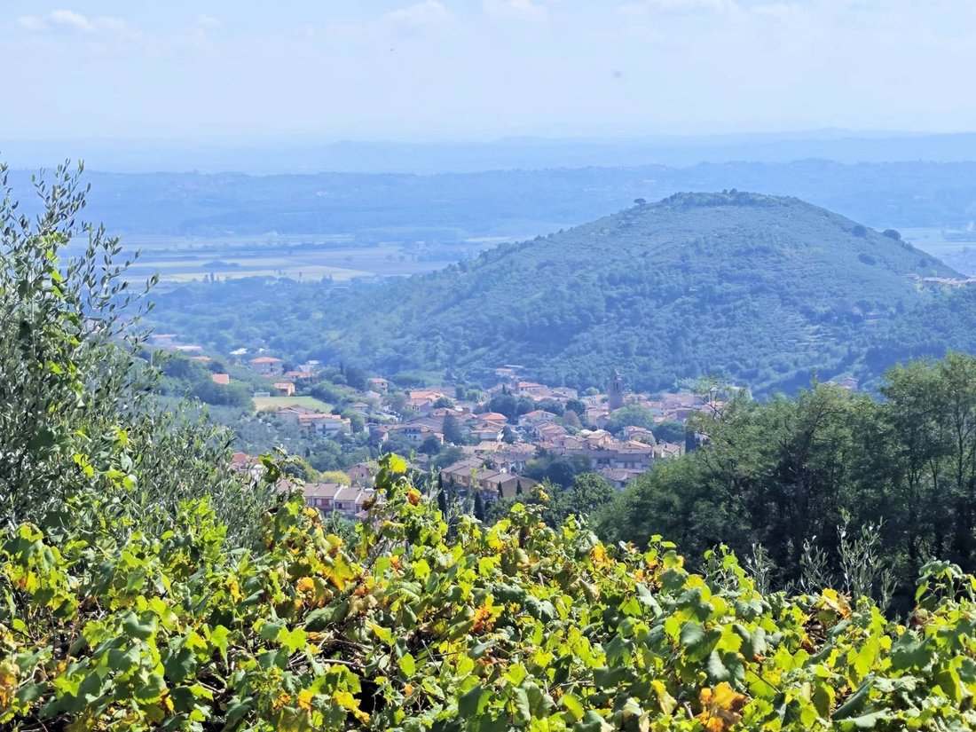 Country House in Buti, Tuscany, Italy 1 - 14834421