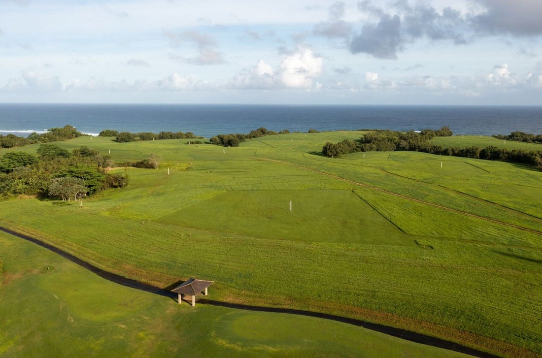 Land in Kilauea, Hawaii, United States 4 - 15610691