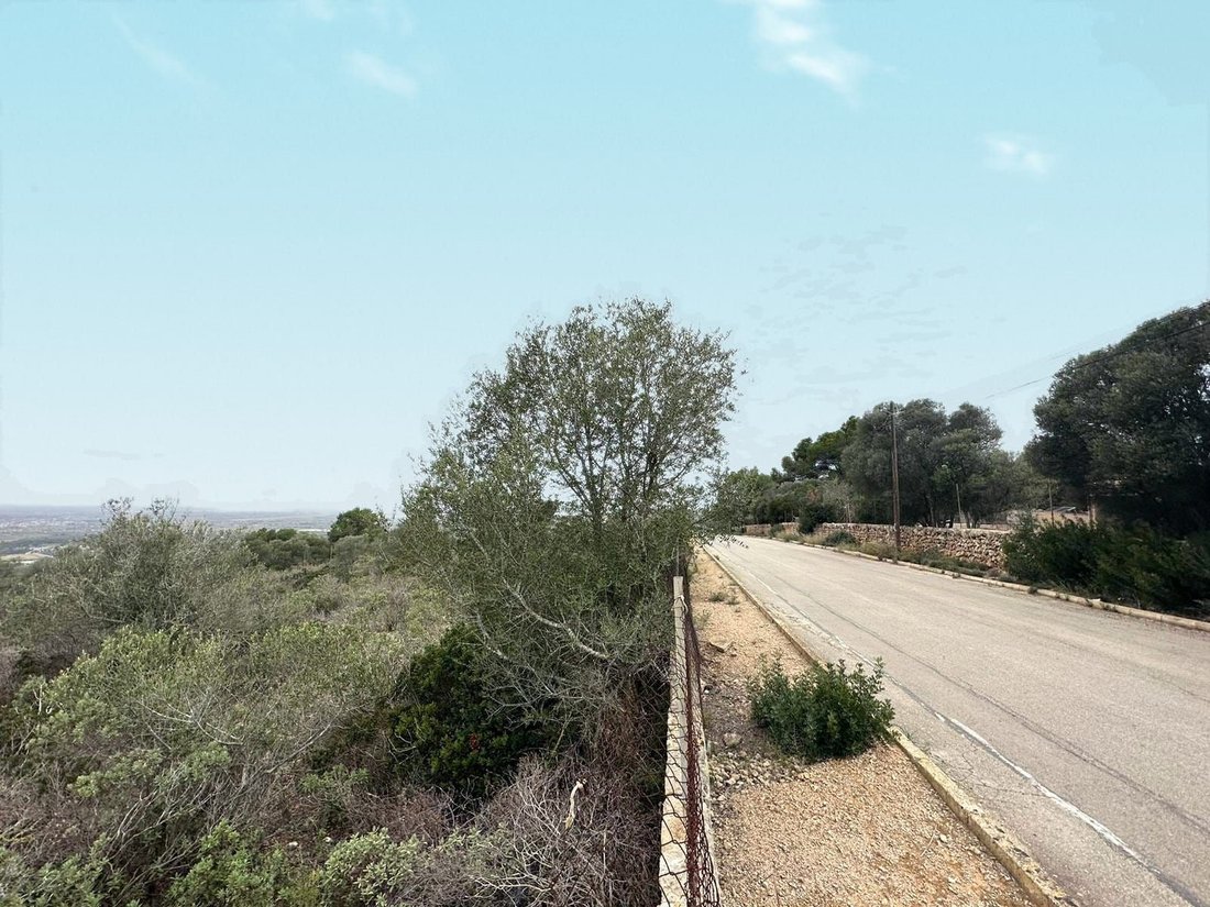 Marratxi, Balearic Islands, Spain 2 - 15608893