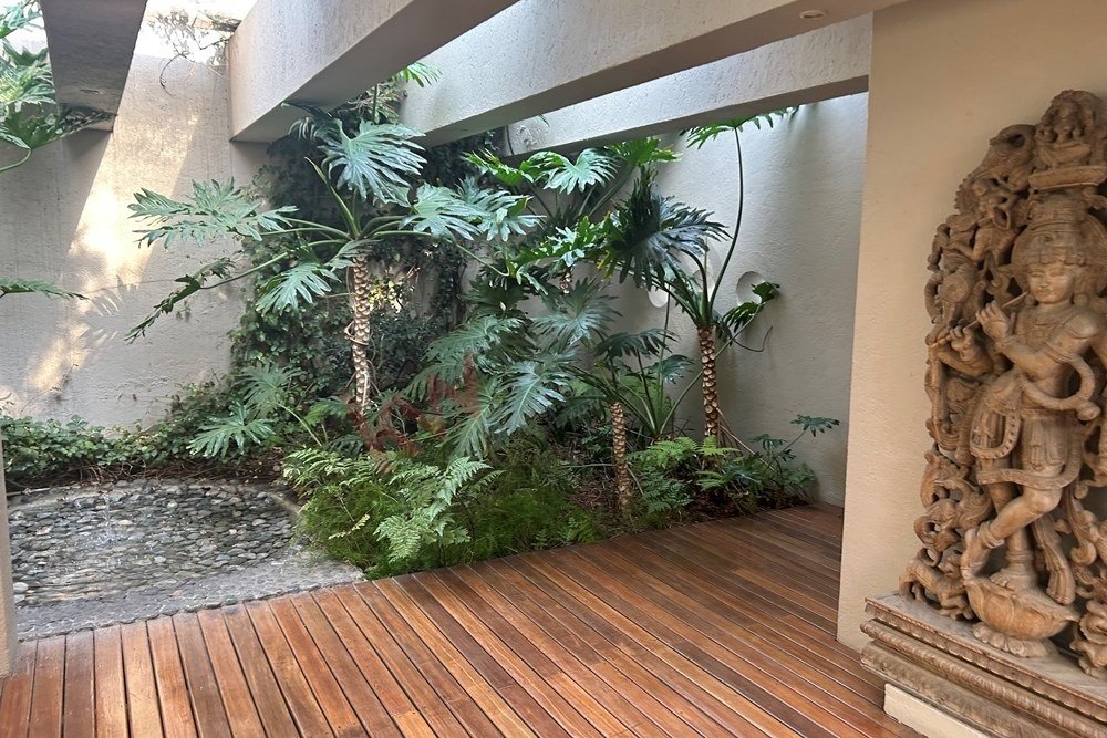 House in Mexico City, Mexico 5 - 15609765