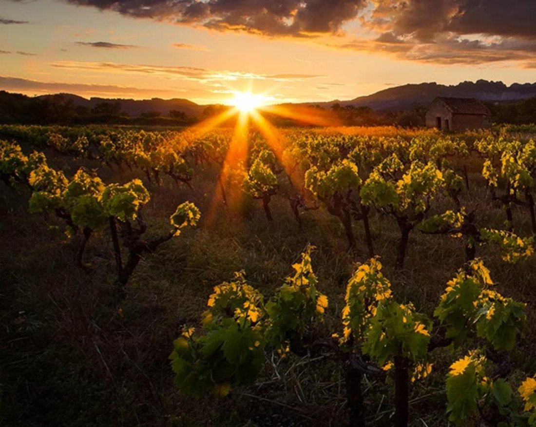 Jumilla, Región de Murcia, Spain 3 - 15608426
