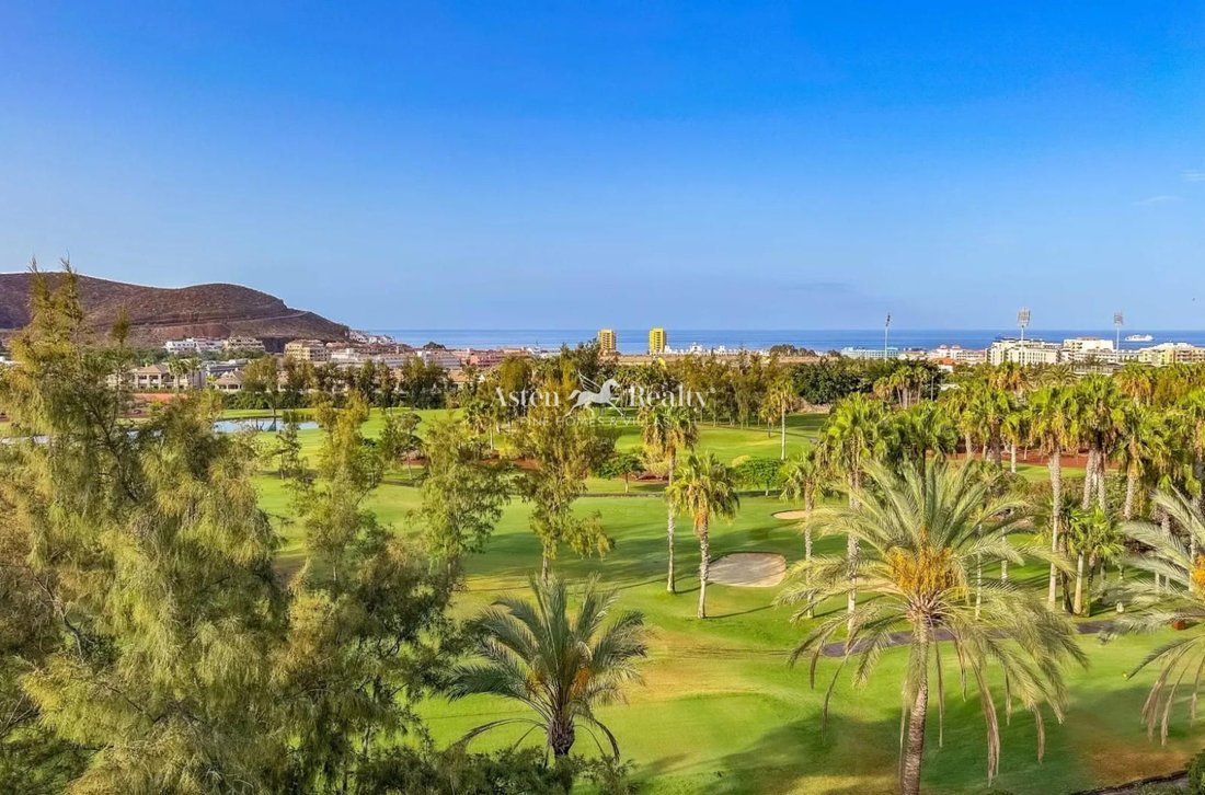 Villa in Los Cristianos, Canary Islands, Spain 2 - 15613160