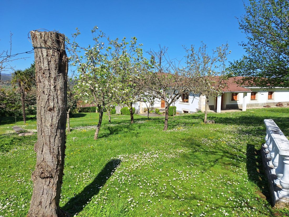 Villa in Valle de Mena, Castile and Leon, Spain 3 - 15608566