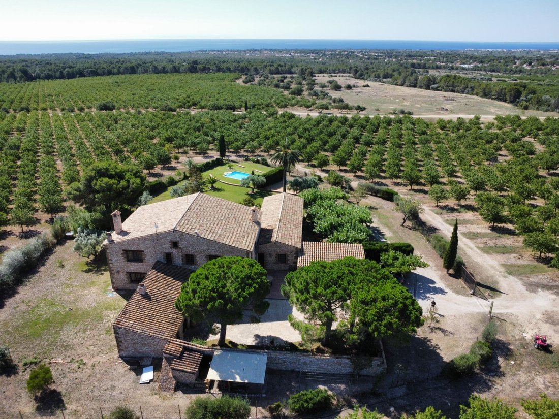 Villa in l'Ametlla de Mar, Catalonia, Spain 1 - 15608684
