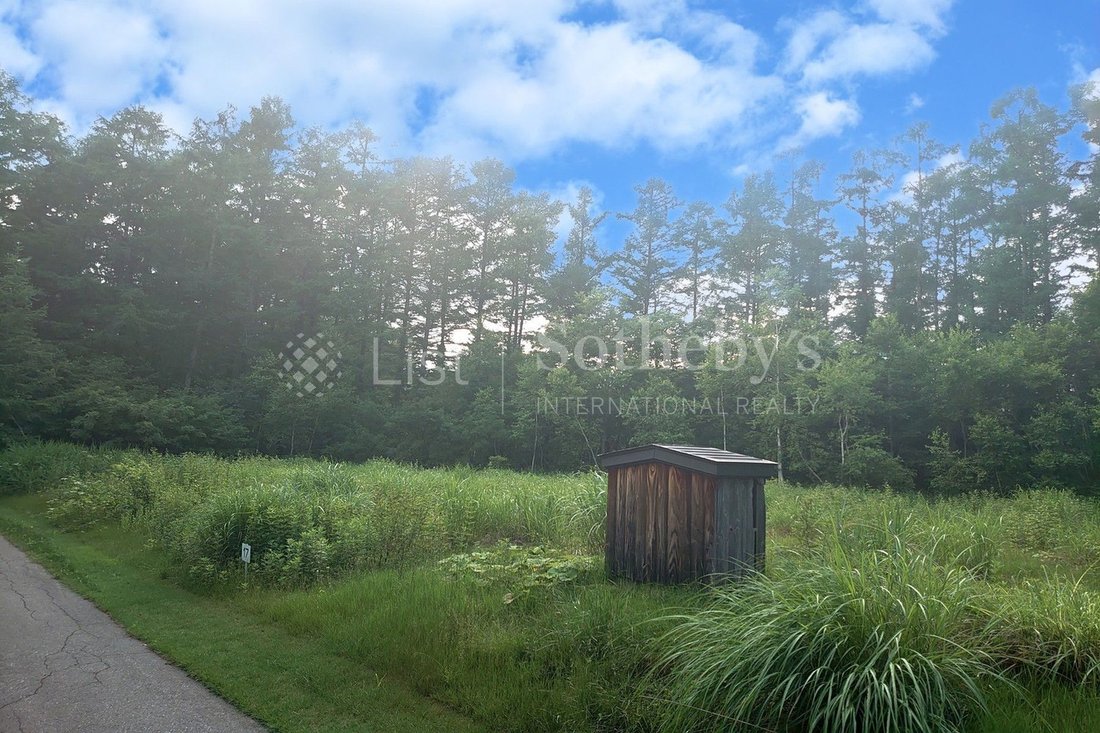 Land in Tone-gun, Tone District, Japan 3 - 11523461