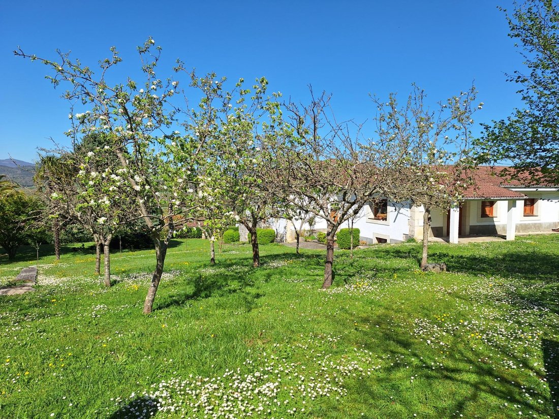 Villa in Valle de Mena, Castile and Leon, Spain 4 - 15608566