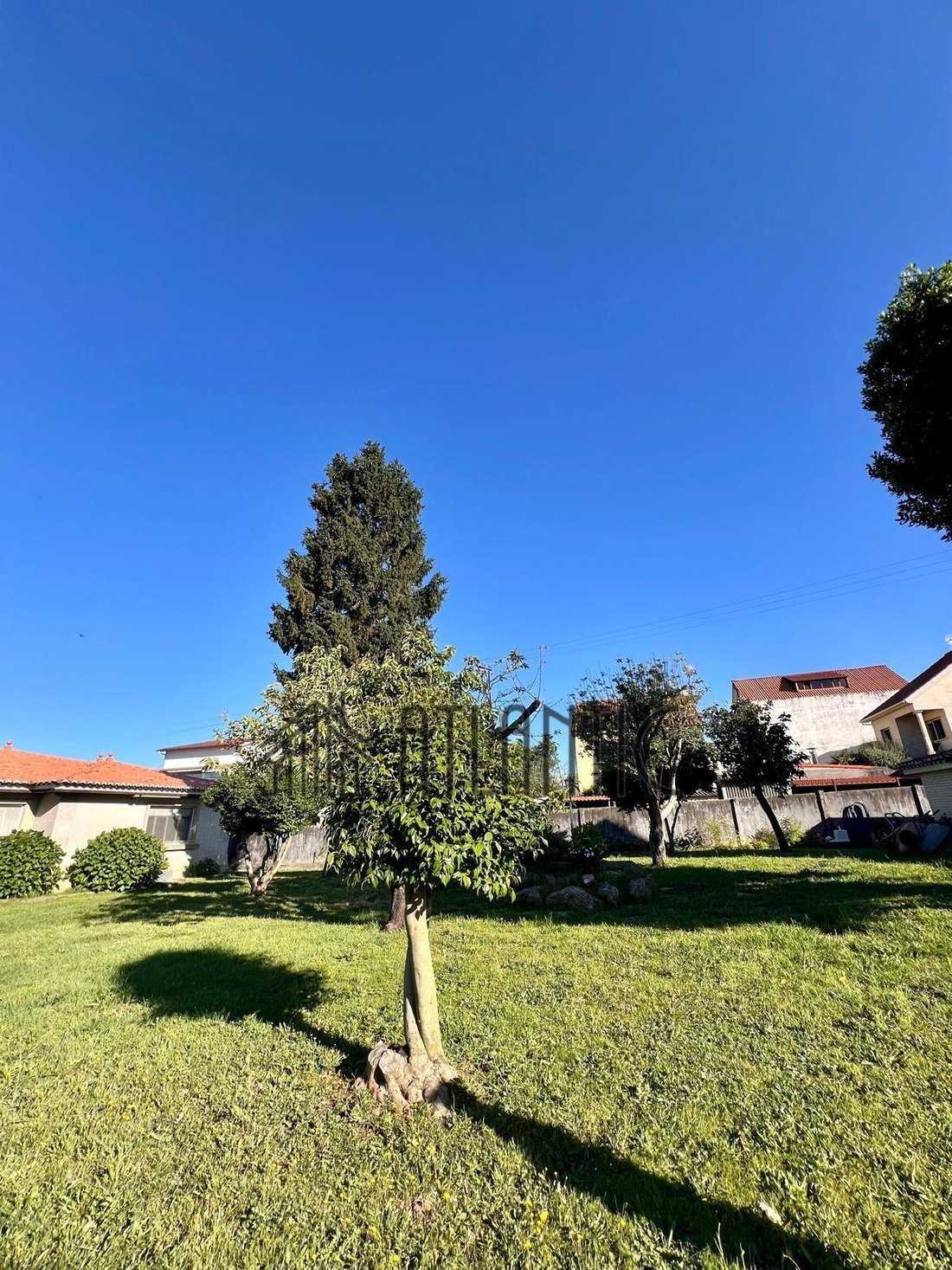 Sardoma, Vigo, Spain 4 - 15608218