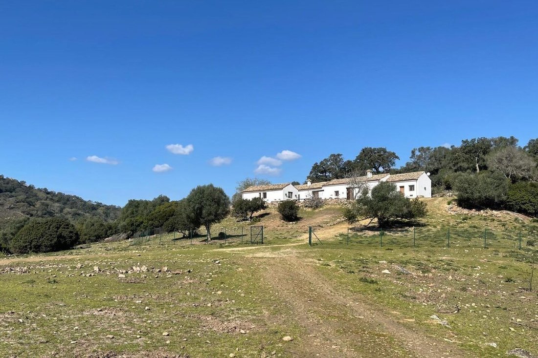 Land in Castellar de la Frontera, Andalusia, Spain 4 - 15590435