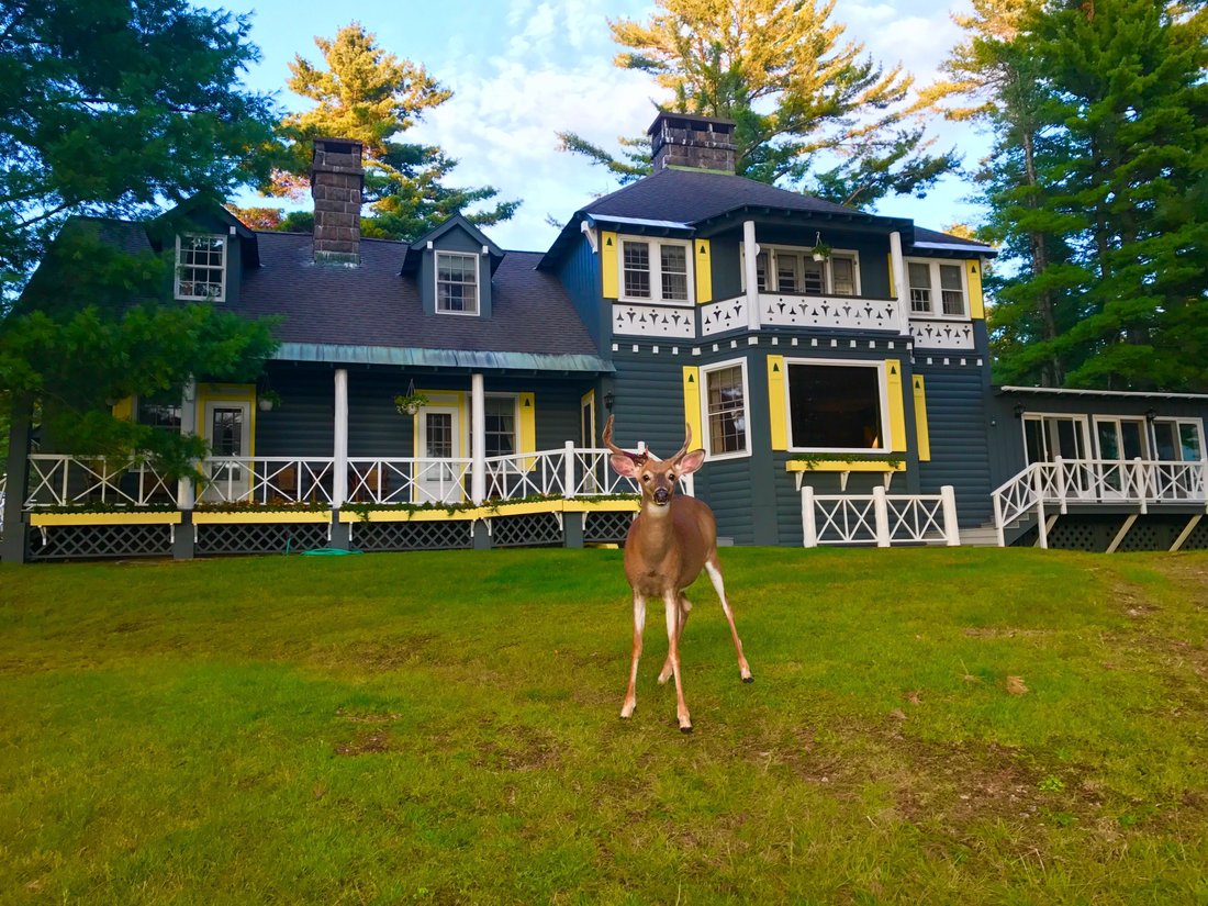 Long Lake, New York, United States 5 - 15606227