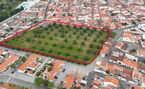 Ferreira do Alentejo e Canhestros, Beja District, Portugal 1
