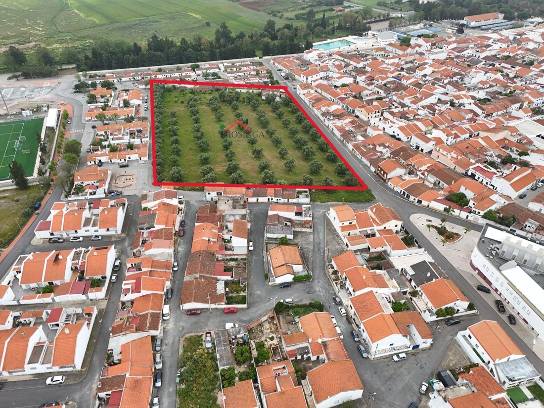 Ferreira do Alentejo e Canhestros, Beja District, Portugal 3 - 15608544