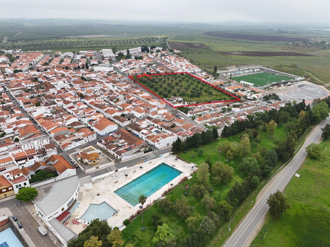 Ferreira do Alentejo e Canhestros, Beja District, Portugal 4 - 15608544