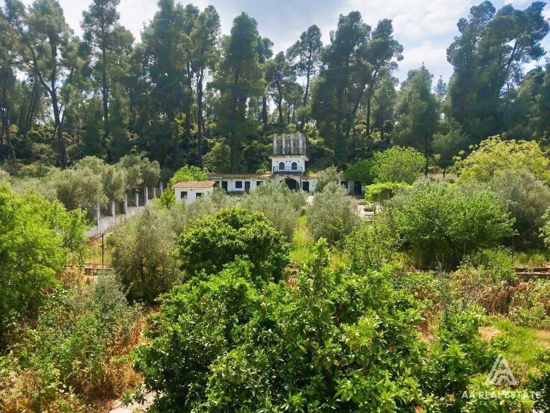 Villa in Kassandra, Macedonia and Thrace, Greece 5 - 15615724