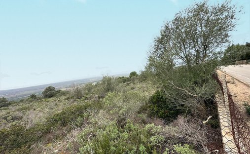 Marratxí, Îles Baléares, Espagne 1
