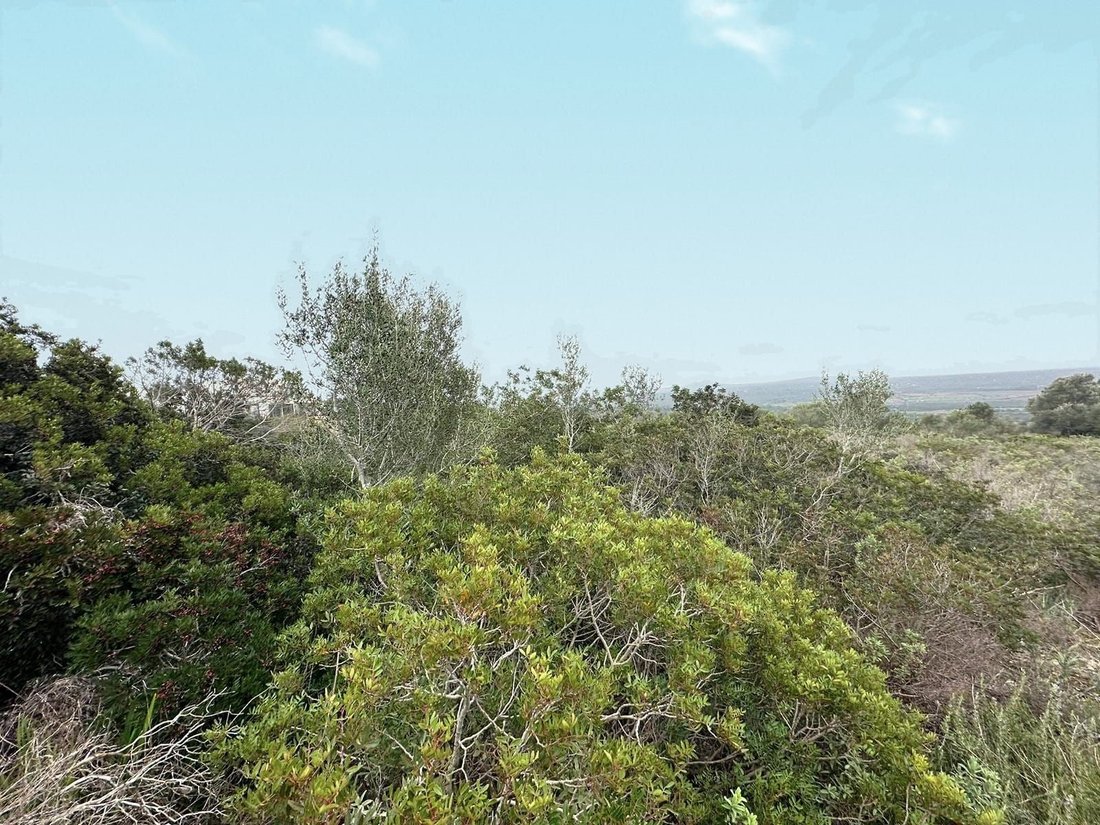Marratxi, Balearic Islands, Spain 4 - 15608893