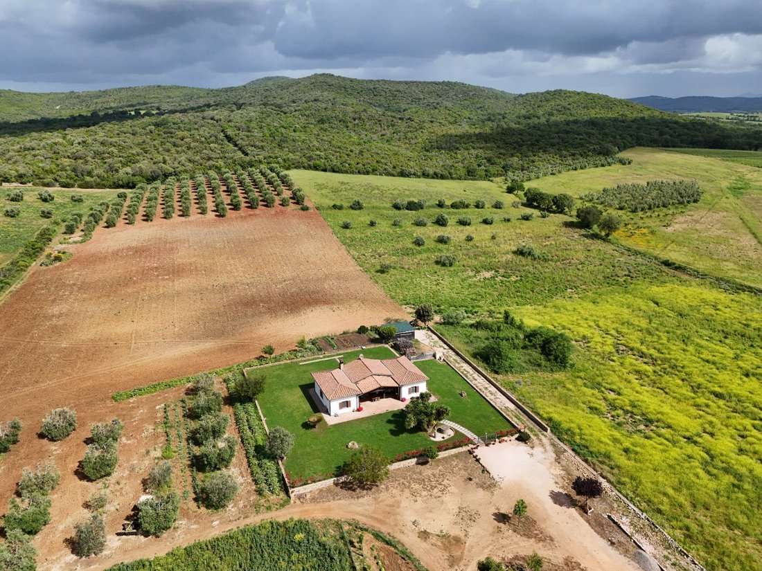 Villa in Capalbio, Tuscany, Italy 4 - 15613957