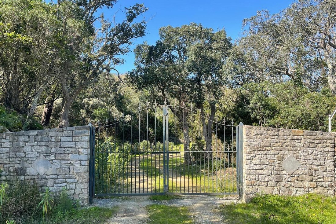 Land in Castellar de la Frontera, Andalusia, Spain 5 - 15590435