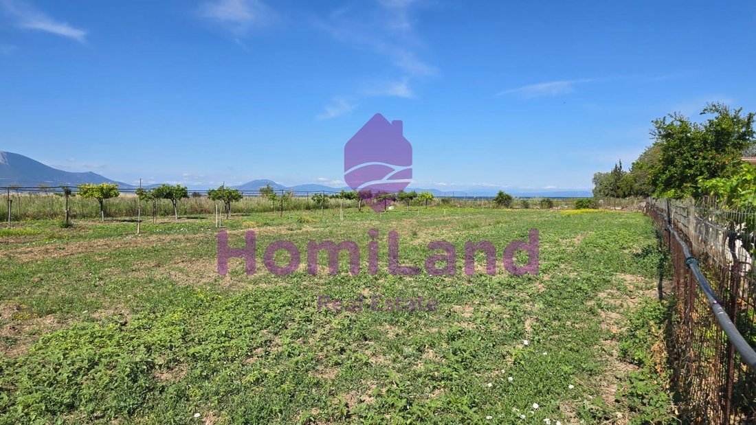 Villa in Dirfyon - Messapion, Thessaly and Central Greece, Greece 4 - 15615292