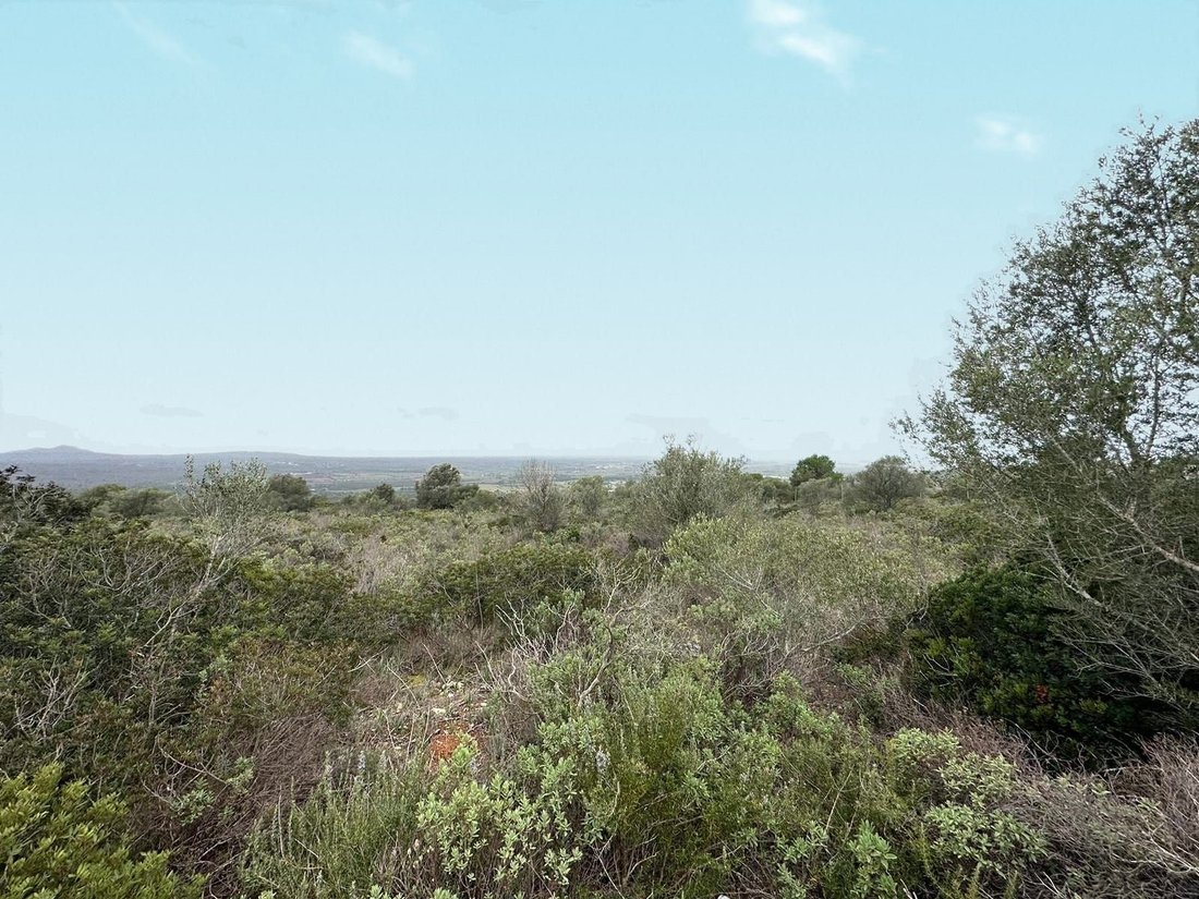 Marratxi, Balearic Islands, Spain 3 - 15608893