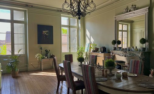 5 Min From Sainte Foy La Grande: Historic Castle Of 600m², Its Vineyard Of 85ha, Gîtes, Stable And 3