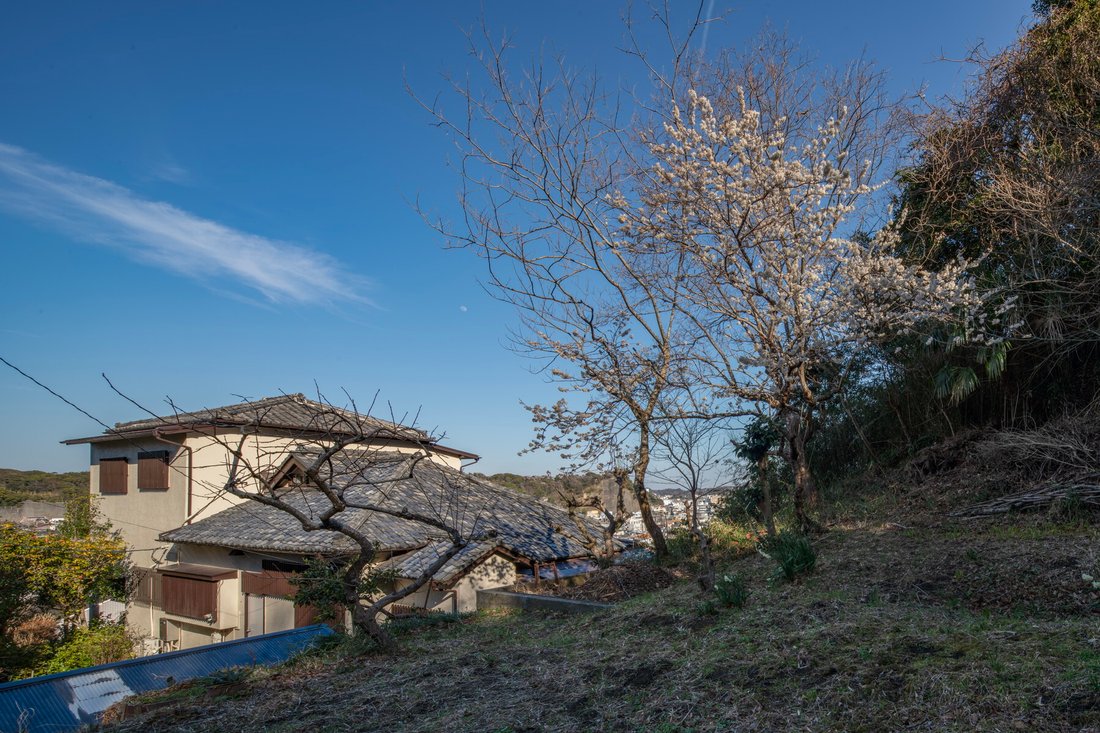 House in Zushi, Kanagawa, Japan 5 - 15617477