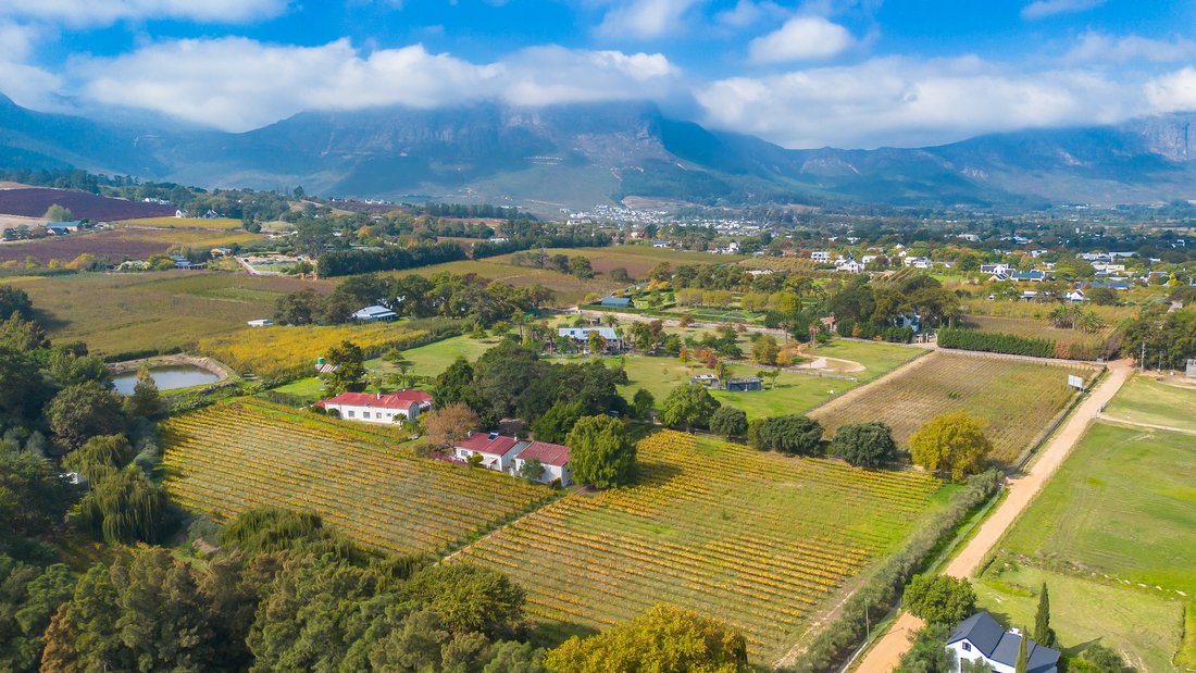 Farm Ranch in Franschhoek, Western Cape, South Africa 5 - 15584212