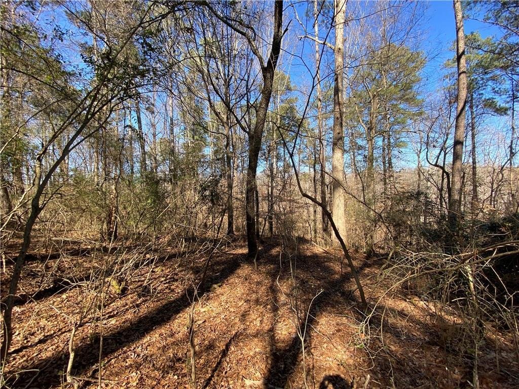 Land in Brookhaven, Georgia, United States 4 - 15620599
