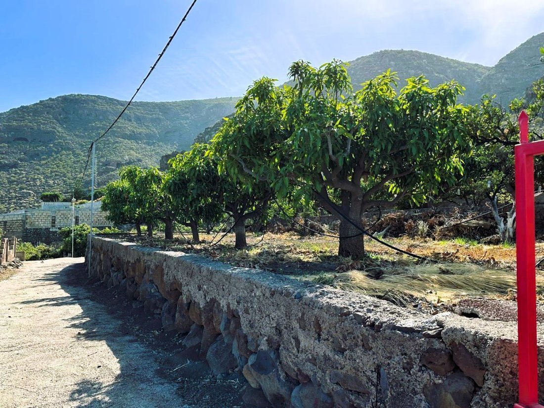 Anwesen in Candelaria, Kanarische Inseln, Spanien 3 - 15618772