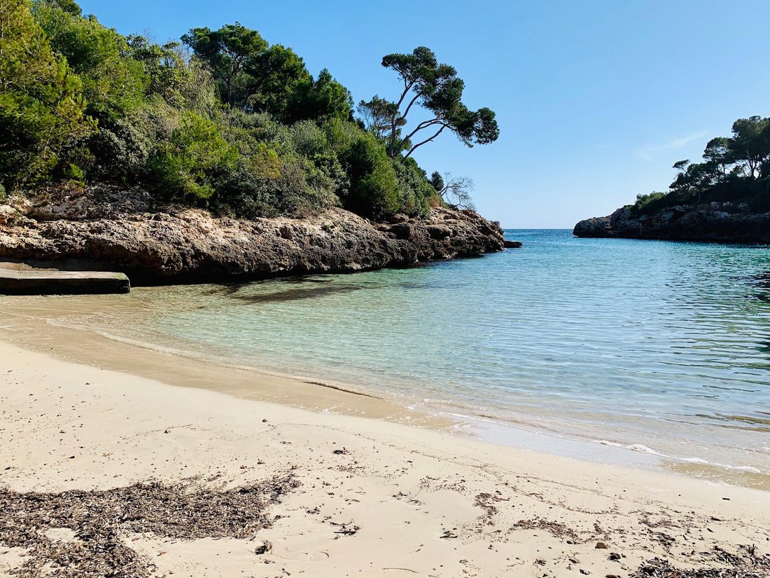 Land in Santanyi, Balearic Islands, Spain 4 - 15619516