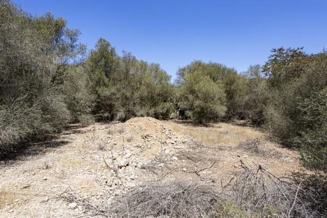 Land in Santanyi, Balearic Islands, Spain 1 - 15619516