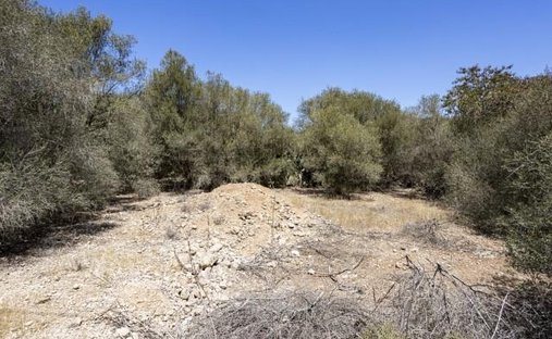 Land in Santanyi, Balearic Islands, Spain 1