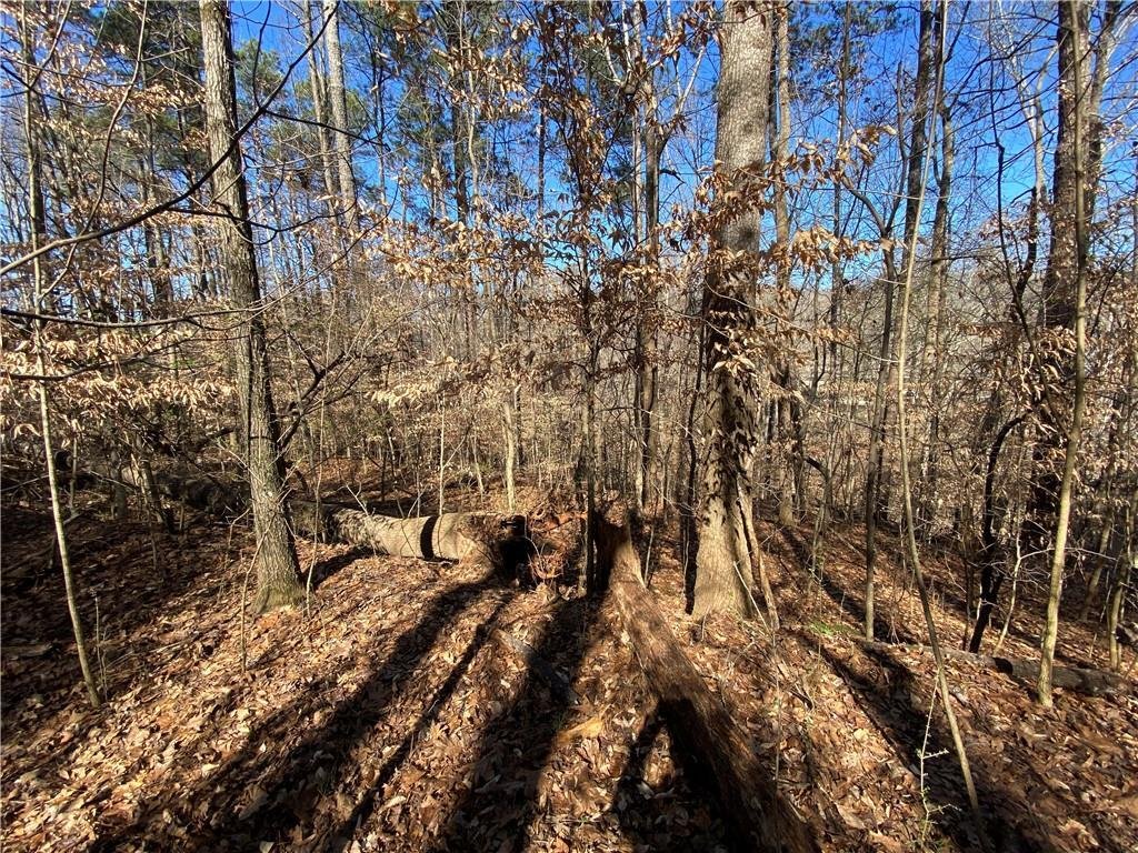 Land in Brookhaven, Georgia, United States 5 - 15620599