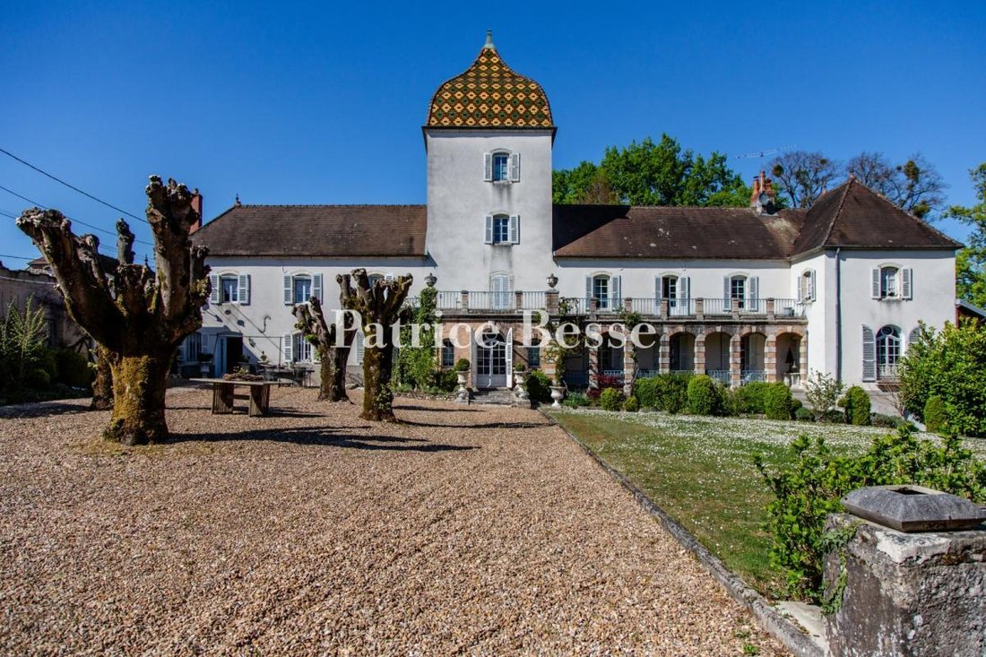 Whispers of the Saône: A Hidden 19th-Century Château’s Embrace
