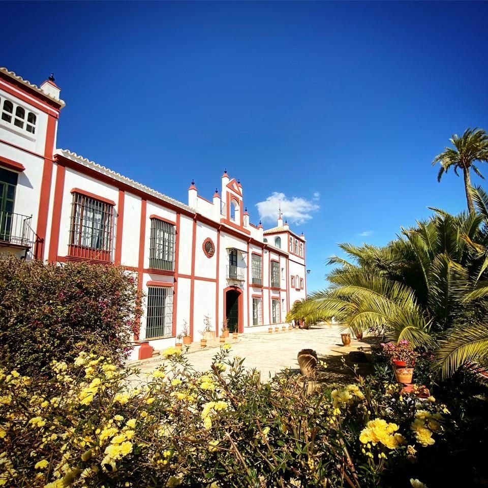 Villa en Morón de la Frontera, Andalucía, España 3 - 15618787