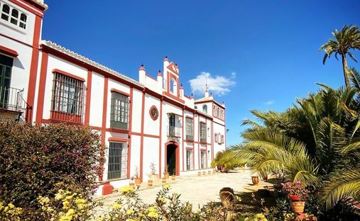 Villa in Moron de la Frontera, Andalusia, Spain 1