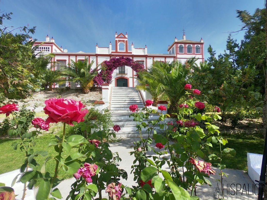 Villa en Morón de la Frontera, Andalucía, España 2 - 15618787