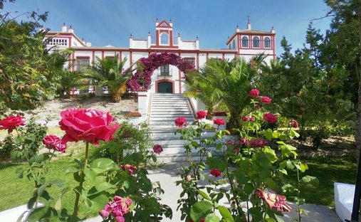 Villa in Moron de la Frontera, Andalusia, Spain 1